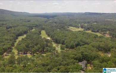 Lake Acreage For Sale in Birmingham, Alabama