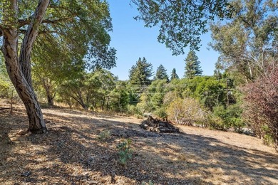 This conforming R-1-5 zoned lot offers a rare chance to build in - photo 3