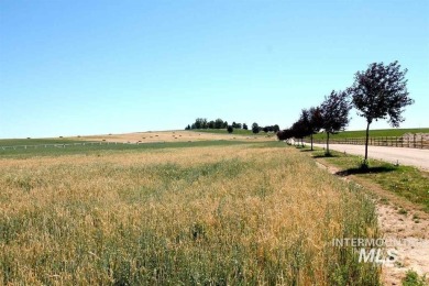 Lake Acreage For Sale in Nampa, Idaho