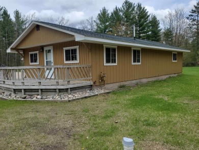 Lake Big Wolf  Home For Sale in Lewiston Michigan