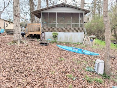 Don't miss out on this little cabin on Warrior River. Cabin is - photo 2