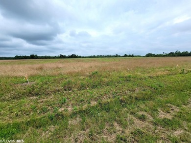 Located in the County, this flat, cleared 6.84 Acre parcel is - photo 2