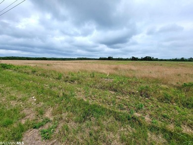 Located in the County, this flat, cleared 6.84 Acre parcel is - photo 3