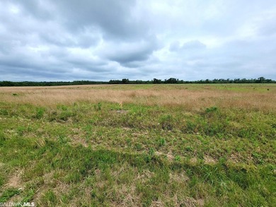 Located in the County, this flat, cleared 6.84 Acre parcel is - photo 4