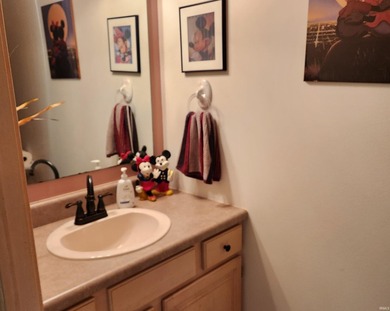 Well maintained home, located in South Shore Green at the end of - photo 20