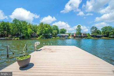 Nestled in a peaceful cove with stunning main lake views and - photo 45