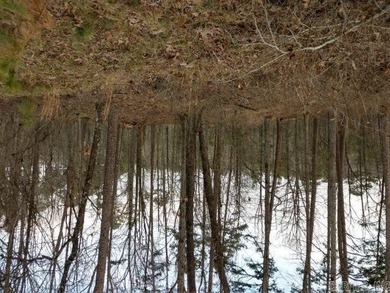 Lake Lot For Sale in Hot Springs, Arkansas