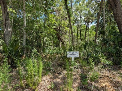 Withlacoochee River Lot For Sale in Inglis Florida