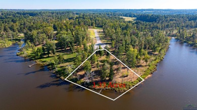 Lake Lot For Sale in Hallsville, Texas