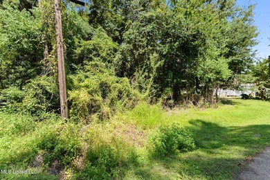 Land for Sale - Sandpiper Lane, Gautier, MS This beautiful - photo 11