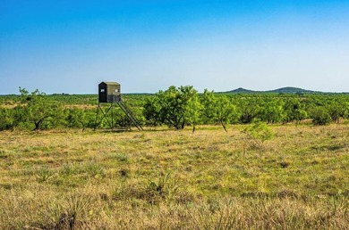 Owner financing available-secure a rare opportunity to own this - photo 16