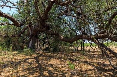 Owner financing available-secure a rare opportunity to own this - photo 18
