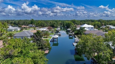 The sixties were an exciting time in Crystal River! A new - photo 8