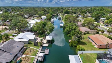 The sixties were an exciting time in Crystal River! A new - photo 10