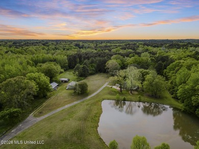 TWO homes, acreage and a pond! One home offers approximately 2 - photo 4