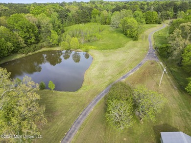 TWO homes, acreage and a pond! One home offers approximately 2 - photo 7