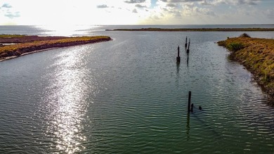 Approximate 47 acre site with canal and barge dock; direct - photo 2