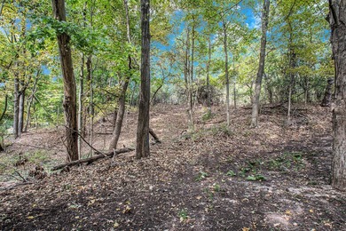 Nestled in the prestigious Birchwood neighborhood in the heart - photo 6