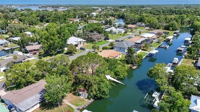 The sixties were an exciting time in Crystal River! A new - photo 3
