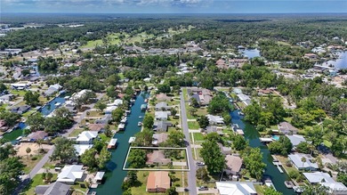 The sixties were an exciting time in Crystal River! A new - photo 5