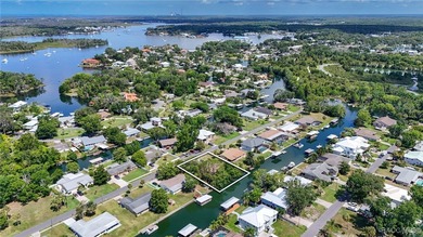 The sixties were an exciting time in Crystal River! A new - photo 6