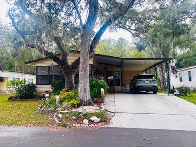 (private lake, pond, coastal) Home For Sale in Brooksville Florida