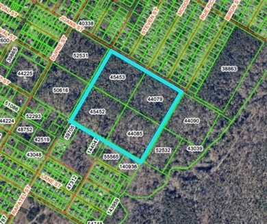 Lake Pontchartrain Acreage For Sale in Mandeville Louisiana