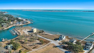 Rare opportunity to own a large sound front parcel in Morehead - photo 13