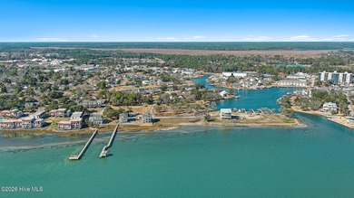 Rare opportunity to own a large sound front parcel in Morehead - photo 16