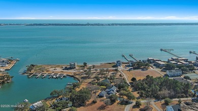 Rare opportunity to own a large sound front parcel in Morehead - photo 29