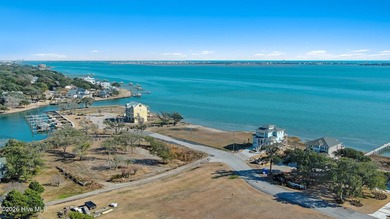 Rare opportunity to own a large sound front parcel in Morehead - photo 31