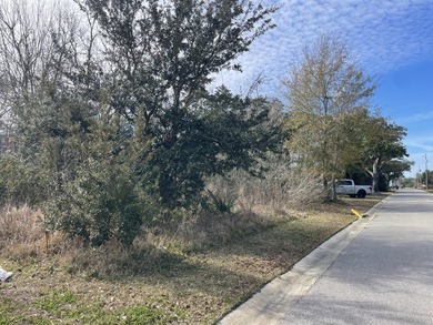 Discover an exceptional opportunity to own a +/-0.62-acre - photo 2