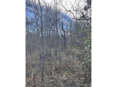 Discover an exceptional opportunity to own a +/-0.62-acre - photo 5