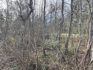 Discover an exceptional opportunity to own a +/-0.62-acre - photo 7