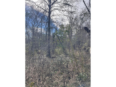Discover an exceptional opportunity to own a +/-0.62-acre - photo 8