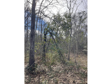 Discover an exceptional opportunity to own a +/-0.62-acre - photo 9
