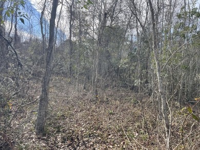 Discover an exceptional opportunity to own a +/-0.62-acre - photo 10