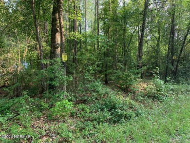 Cape Fear River - New Hanover County Lot For Sale in Burgaw North Carolina