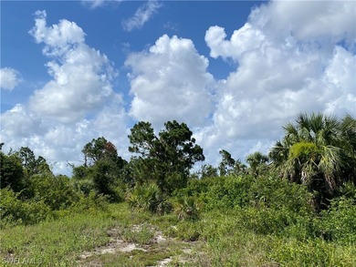 Great lot to build your next home! 12 miles to Englewood - photo 2