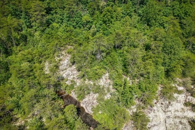 Escape to the peaceful beauty of Tennessee's Cumberland Plateau - photo 9