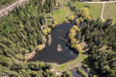 Tucked away in a private, park-like setting in North Idaho, this - photo 53