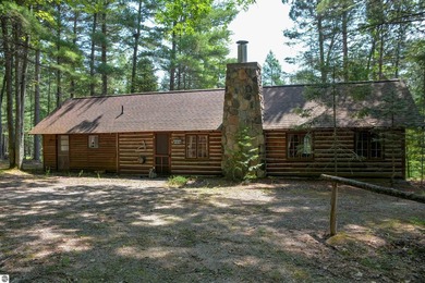 (private lake, pond, creek) Home For Sale in Rapid City Michigan