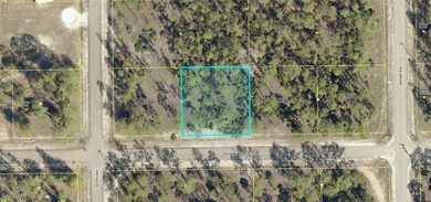 Lehigh Acres Area Lot For Sale in Lehigh Acres Florida