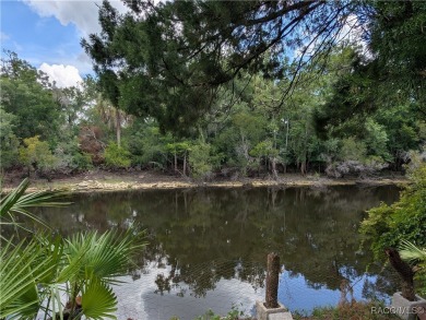 Lake Home For Sale in Dunnellon, Florida
