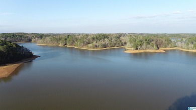Lake Wedowee / RL Harris Reservoir Lot For Sale in Lineville Alabama