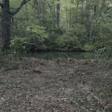 Lake Acreage Sale Pending in Allegan, Michigan