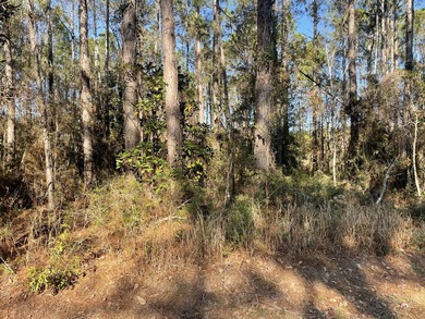 Whether you're planning to build your forever home near the Gulf - photo 1