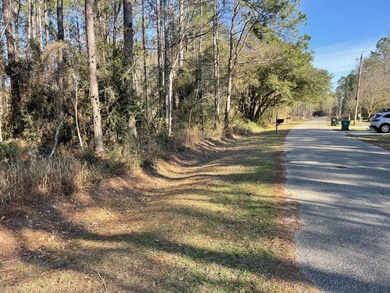 Whether you're planning to build your forever home near the Gulf - photo 3