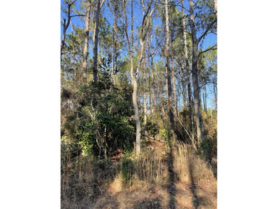 Whether you're planning to build your forever home near the Gulf - photo 4