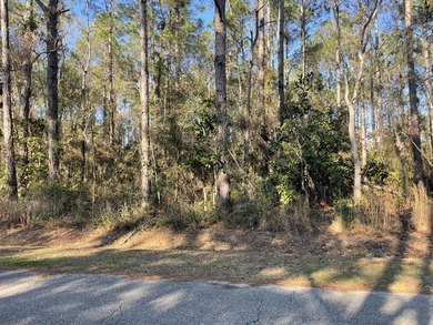 Whether you're planning to build your forever home near the Gulf - photo 5